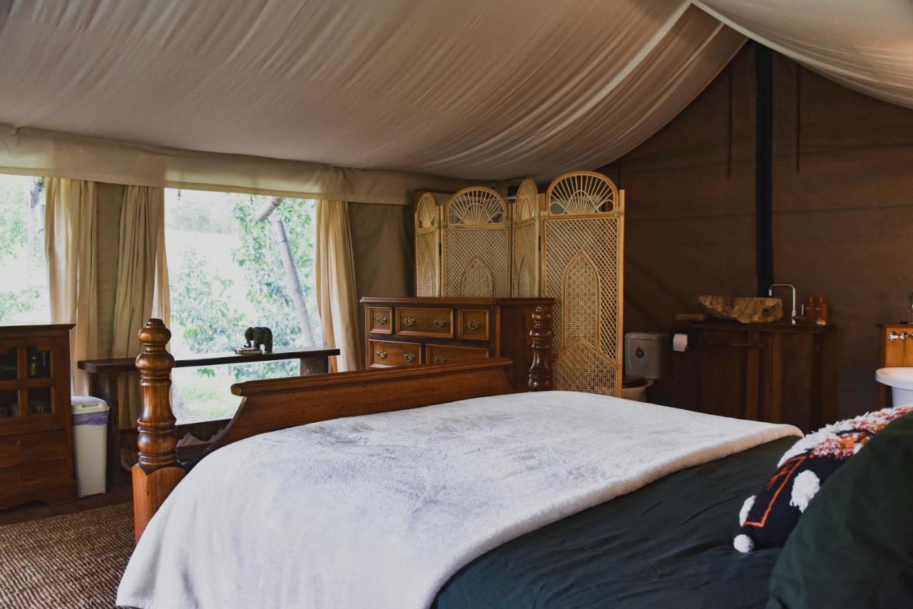 Silk Pavilions Glamping Mount Burrell Εξωτερικό φωτογραφία