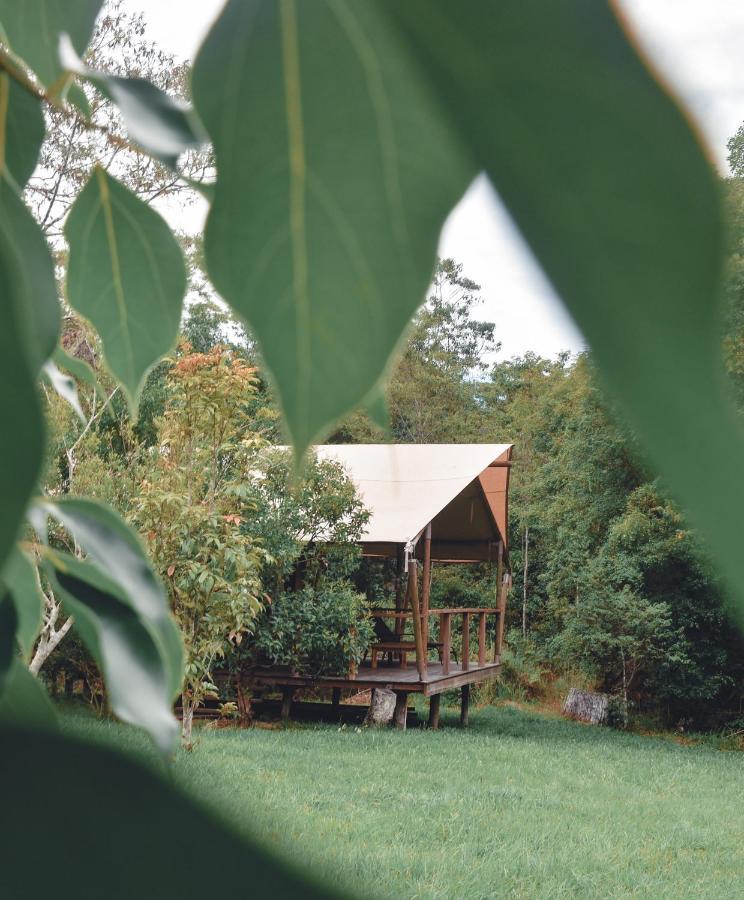 Silk Pavilions Glamping Mount Burrell Εξωτερικό φωτογραφία