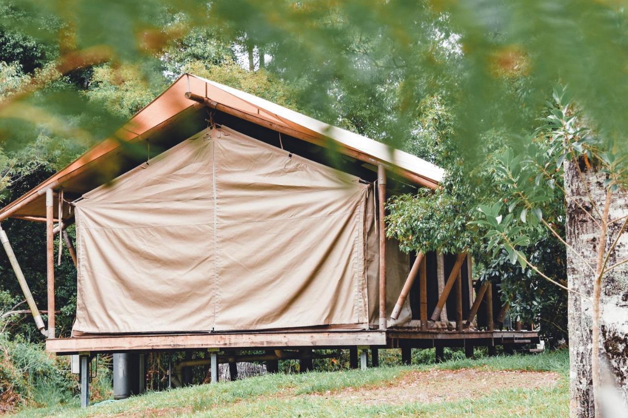 Silk Pavilions Glamping Mount Burrell Εξωτερικό φωτογραφία