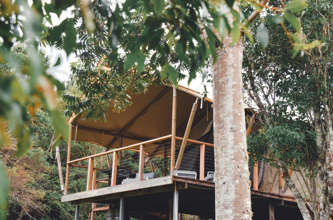 Silk Pavilions Glamping Mount Burrell Εξωτερικό φωτογραφία